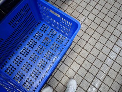 快訊／衛生局稽查大直典華「沒老鼠、有蟑螂」　揪3缺失限期改善