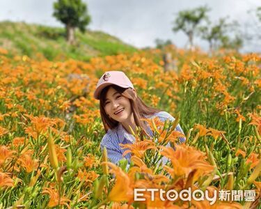 嘉義也有金針花海！「阿拉伯粉紅村」變色了　3萬株金黃花浪盛開