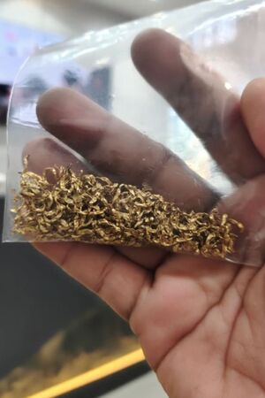 經過現場初步清點，這對情侶驚覺已有價值超過14萬泰銖的黃金被狗狗吞下肚子。（翻攝自TikTok＠pompomgang888）