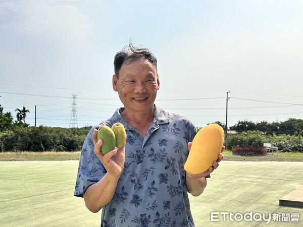 ▲▼家樂福契作屏東芒果。（圖／記者林育綾攝）