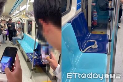 北捷車廂有蛇畫面曝!「座位上爬行」旅客看傻狂拍