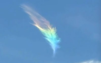 天地祥瑞奇景！江蘇出現「羽毛狀七彩雲」　洛陽千年菩提樹開花