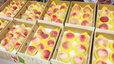 桃園「媽媽樂桃桃--粉紅市集」開張　張善政：母親節送禮首選