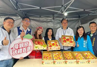 桃園「媽媽桃」開賣張善政現身推廣 選桃3招不踩雷