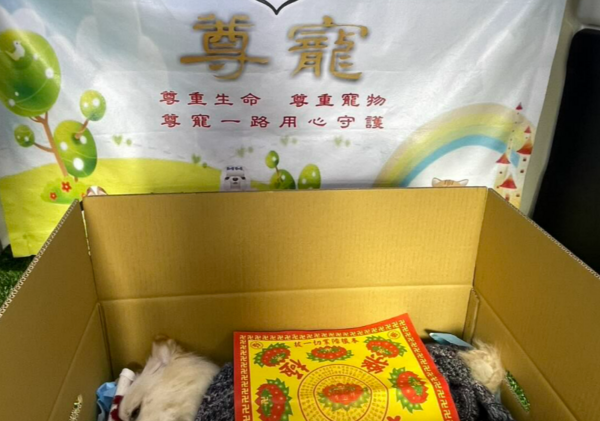 ▲愛犬遭娃娃車輾過，傷重不治。（圖／陳小姐提供）