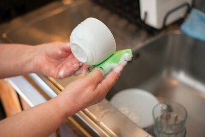 菜瓜布比馬桶還髒！　日研究示警：只用清水洗碗恐吃下滿盤細菌