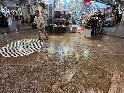 北市鼠患周一起大清消　12行政區時程一次看