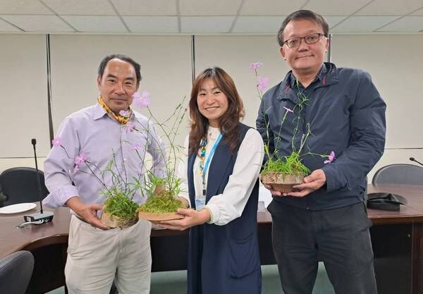 ▲台灣特有種母親花，復興區「巴陵石竹」