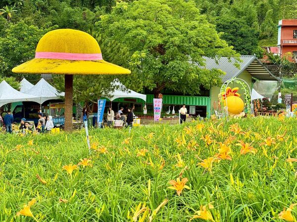 ▲「2026花現台七－繡球金針農遊趣」即日起至5月24日於百吉休閒農業區遊客中心展開。（圖／桃園市農業局提供）