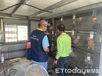 學甲犬隻疑不當飼養 台南動保處查獲24犬將依法查處