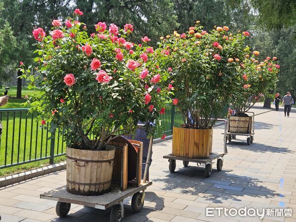▲▼北京天壇公園將迎接川普來訪。（圖／記者陳冠宇攝）