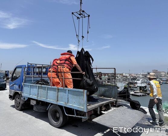 ▲▼全球極危「海洋巨獸」現蹤嘉義！　漁民捕到200公斤革龜海巡大驚。（圖／記者翁伊森翻攝）