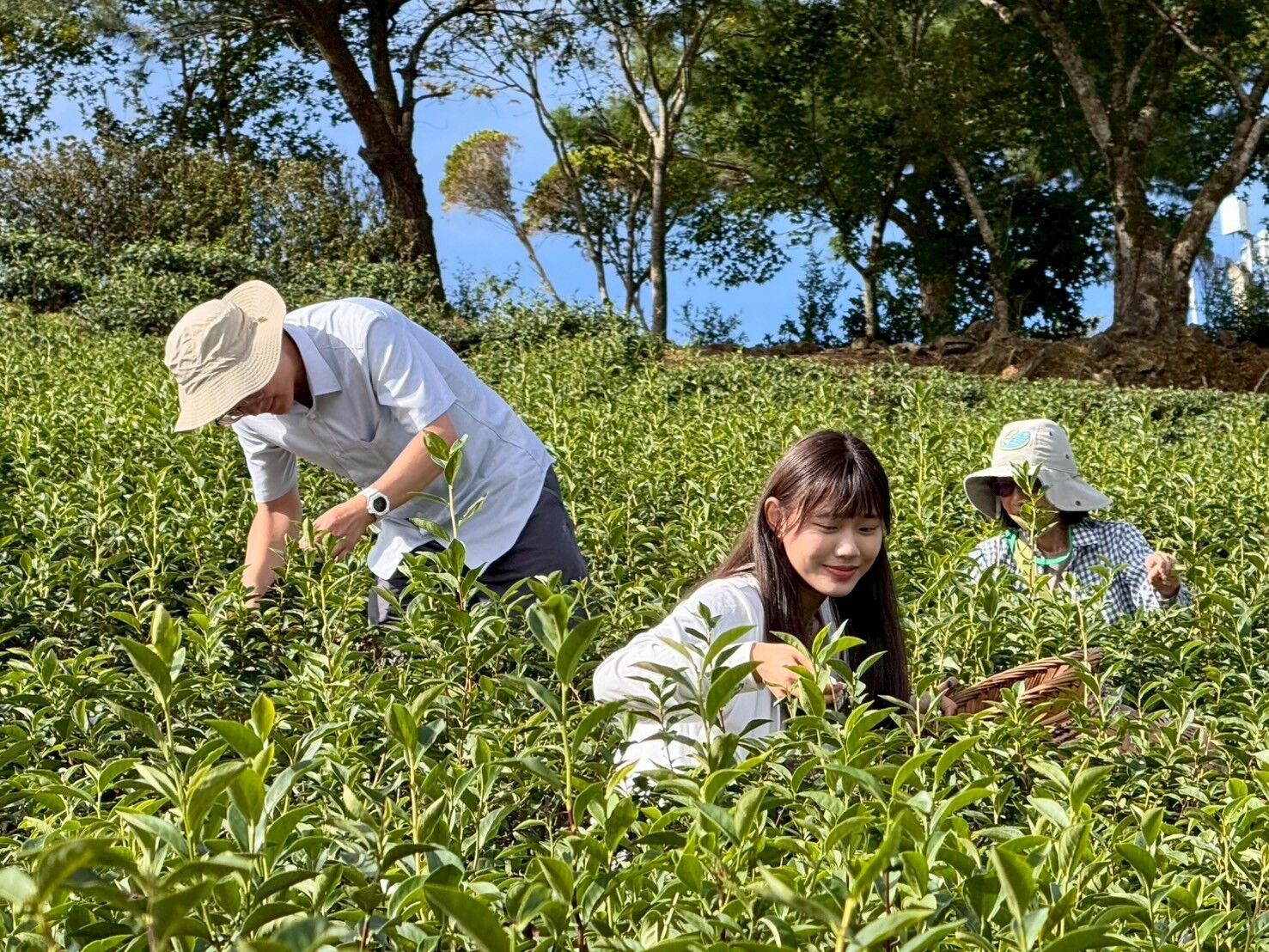 ▲新北打造永續觀光廊帶。（圖／新北市觀旅局提供）