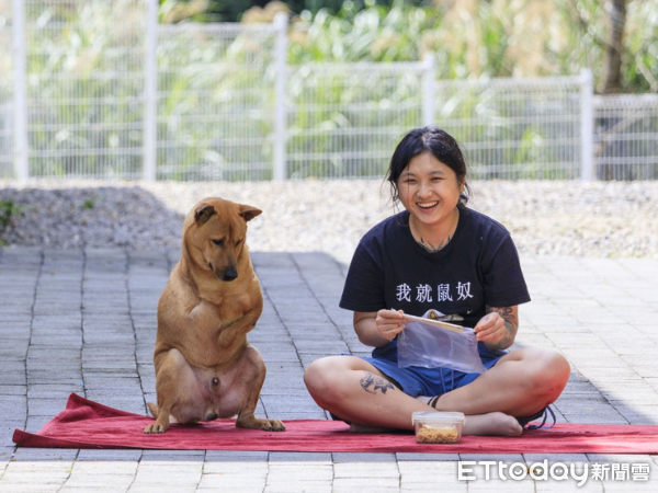 ▲疑誤中兩次「山豬吊」陷阱！黃狗走出截肢陰影　溫暖親人在等家。（圖／新北市政府動物保護防疫處提供）