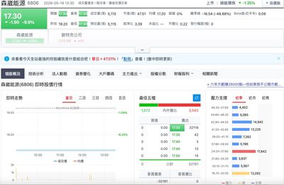 森崴能源「昔聽明牌」槓桿買39張：相信郭台強　現山頂吹風