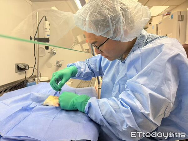 ▲團隊利用3D列印技術打造客製化骨支架，促進血管新生與骨骼再生。（圖／記者游瓊華翻攝）
