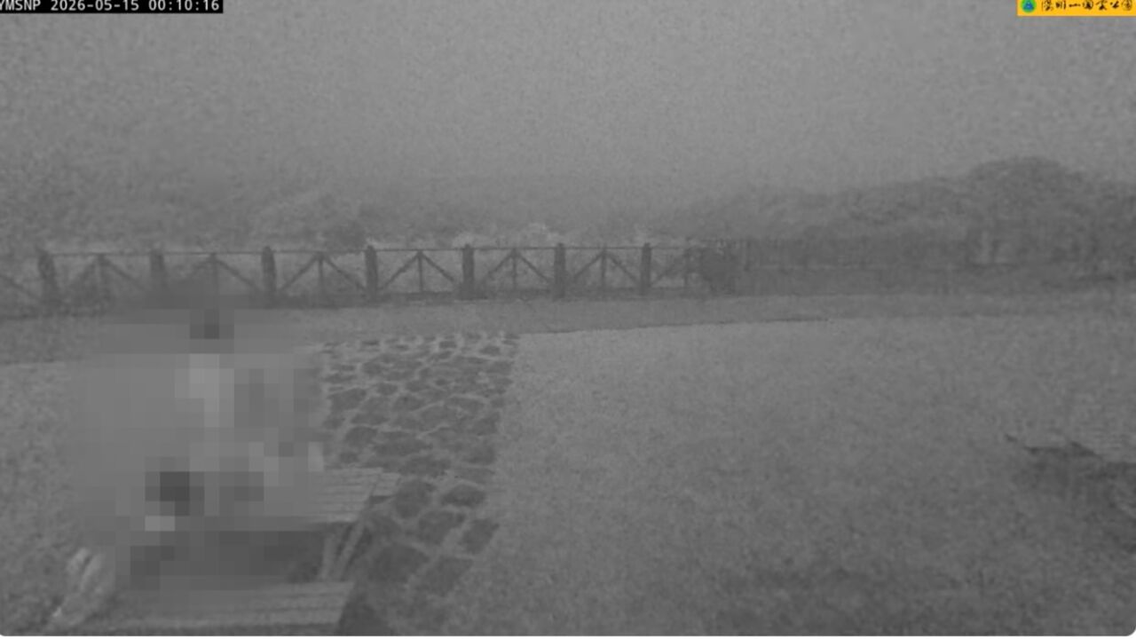 擎天崗情侶「凌晨野戰」被直播! 鏡頭君影音全都錄