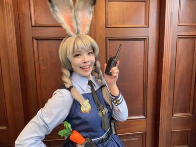白營「高虹安條款」三讀為連任解套　綠批修法服務特定人士