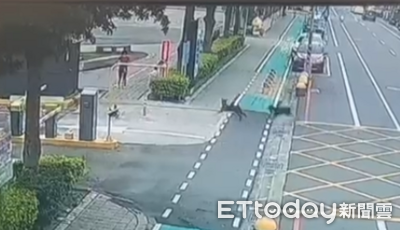 骨折女遭未繫繩狗狂吠嚇到跌倒　飼主竟喊「怕什麼」：打下去就好