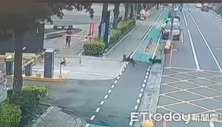 ▲飼主與狗狗出門未牽繩釀婦人跌倒。（圖／民眾提供）