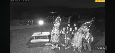 擎天崗野戰被抓包！一票人點頭認「會盯直播」曝原因：必看