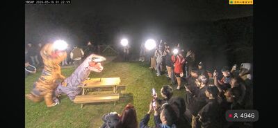 擎天崗凌晨驚見「恐龍野戰」 5000人同步看直播