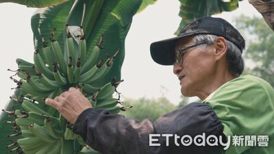 種筍、梅36年不用農藥化肥　中寮鄉農民助石虎棲地保育獲表揚