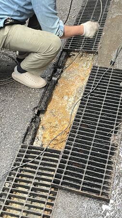 ▲▼國民黨市議員王欣儀質詢北市老鼠議題。（圖／王欣儀辦公室提供）
