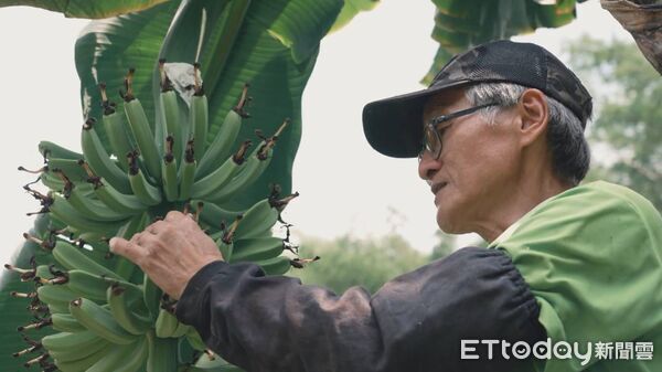 ▲友善農友田區工作照片。（圖／林業保育署南投分署提供）