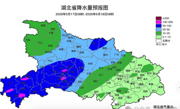 ▲▼ 暴雨夾擊！廣東逼出「蟑螂密集恐懼症」　湖北防汛連發37次警報            。（圖／翻攝 百度）