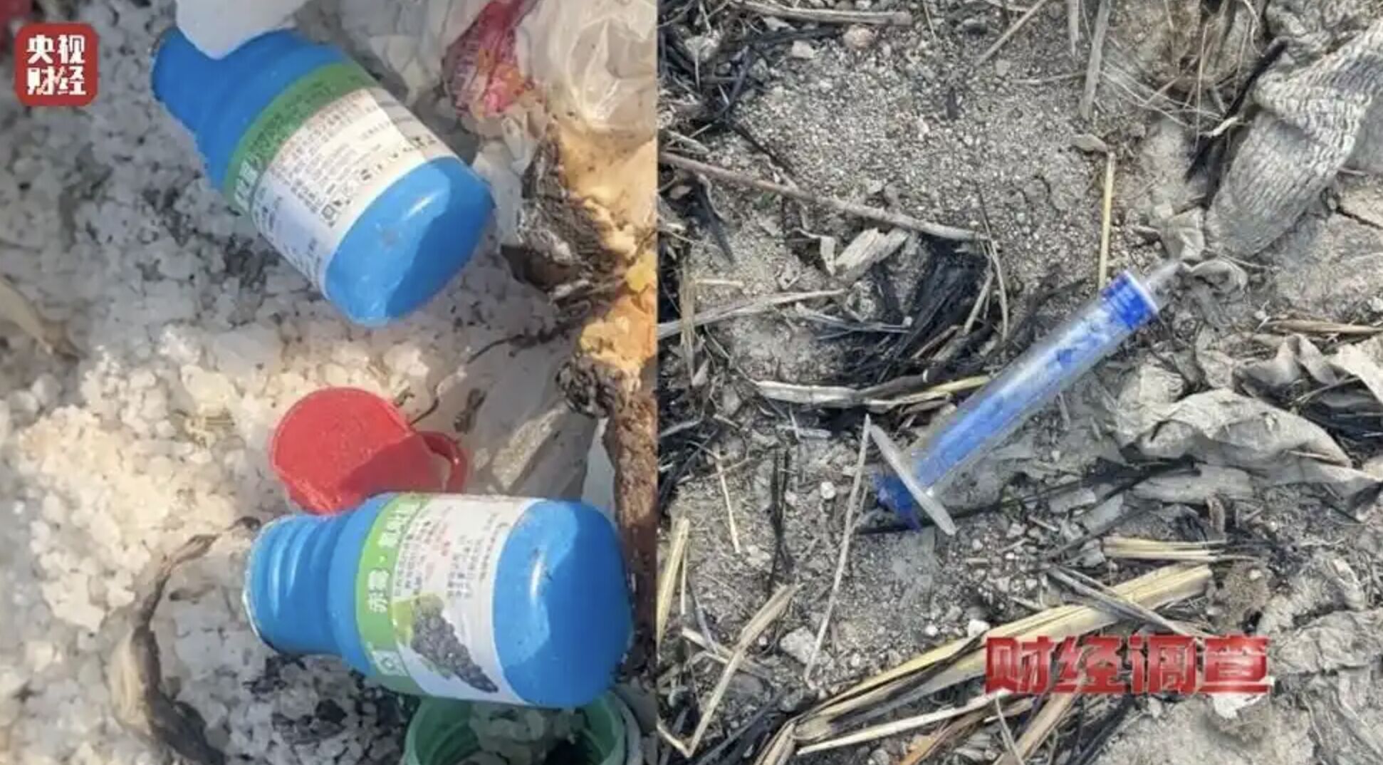 ▲遼寧營口多處農村非法棄置垃圾情況嚴重，甚至形成「垃圾圍村」的誇張現象。（圖／翻攝央視新聞）