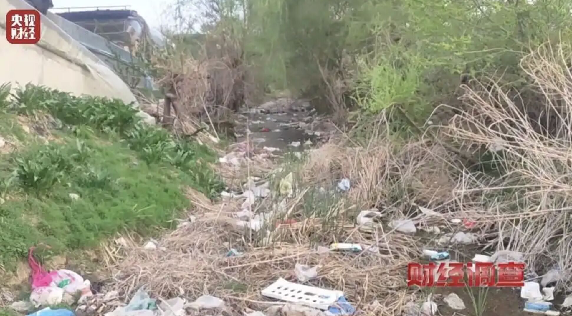 ▲遼寧營口多處農村非法棄置垃圾情況嚴重，甚至形成「垃圾圍村」的誇張現象。（圖／翻攝央視新聞）