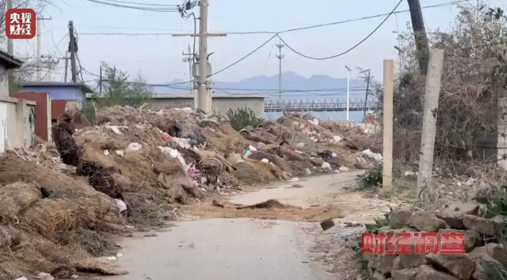 ▲遼寧營口多處農村非法棄置垃圾情況嚴重，甚至形成「垃圾圍村」的誇張現象。（圖／翻攝央視新聞）