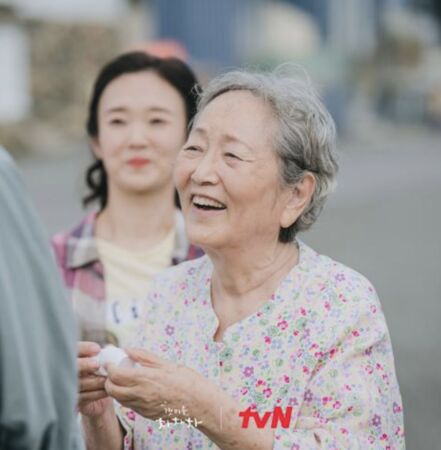 ▲金英玉曾出演《海岸村恰恰恰》是奶奶專業戶。（圖／翻攝自@tvN drama）