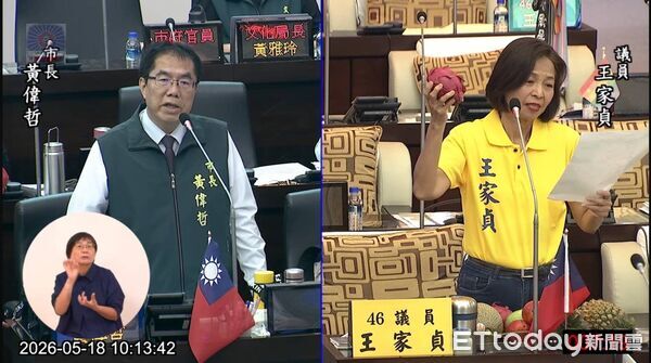 ▲台南市議員王家貞在總質詢中拿出洋香瓜、火龍果等台南農特產，建議市府設置農業綠色博覽會。（記者林東良翻攝，下同）