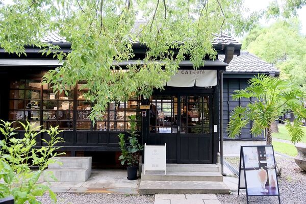 ▲▼嘉義藝術節與阿勃勒。（圖／嘉義市政府提供）