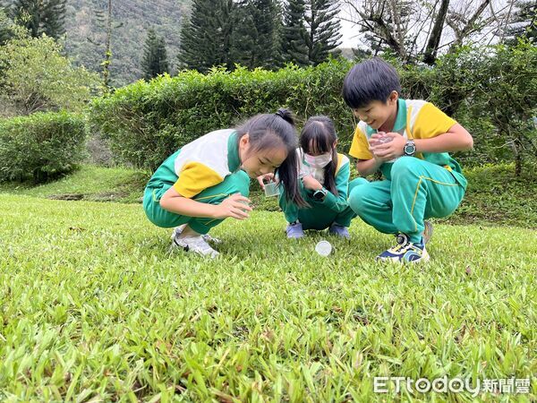 ▲親子同樂認識昆蟲吊網。（圖／花蓮分署提供，下同）