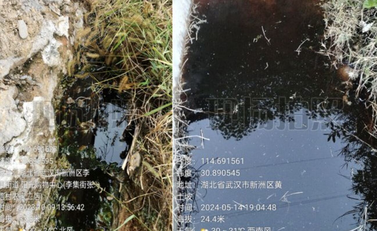▲村民提供工廠於2023及2024年仍持續排放廢水。（圖／翻攝齊魯壹點）