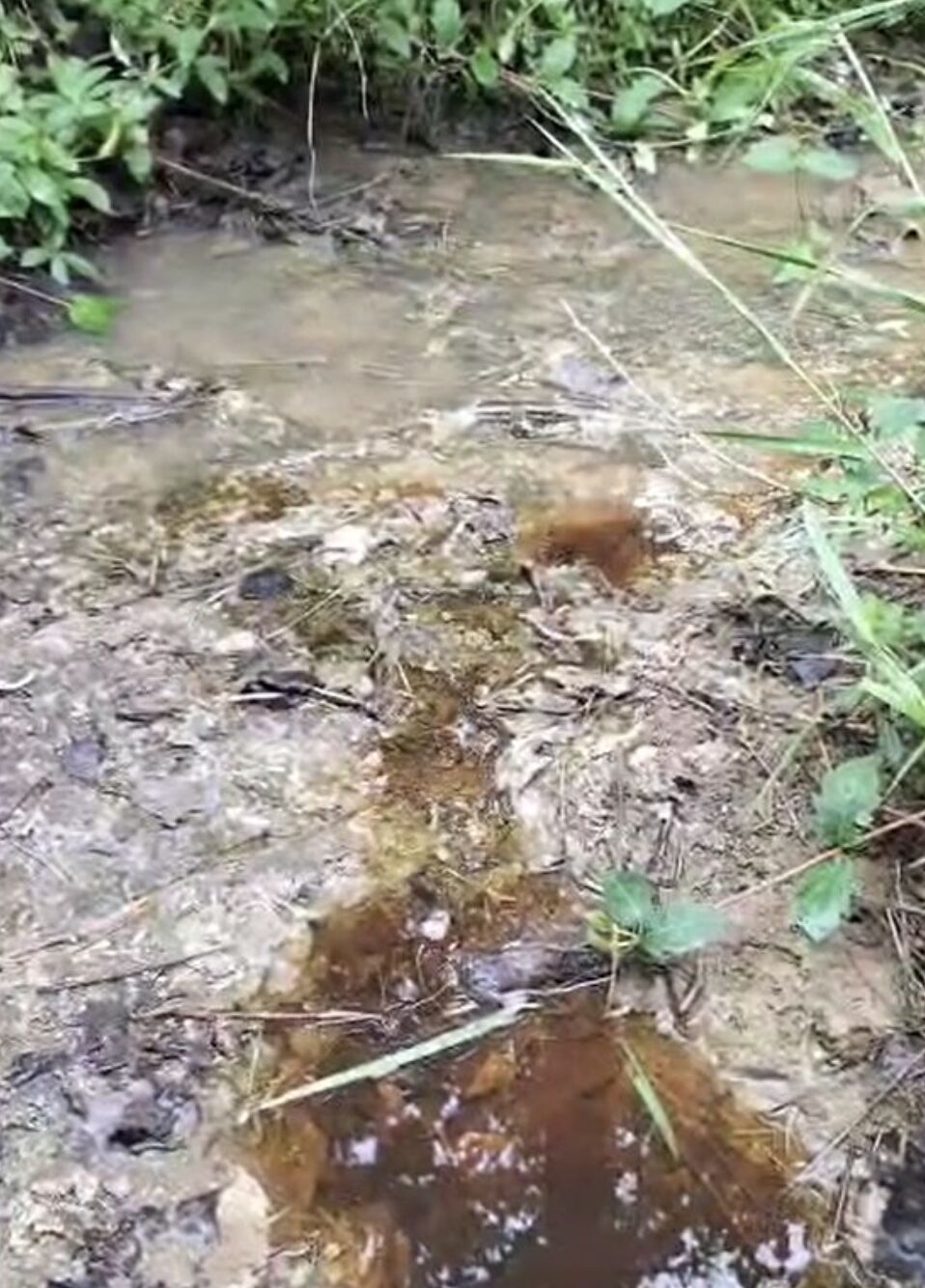 ▲武漢昌盛泡花鹼廠廢水流入居民飲用的池塘。（圖／翻攝齊魯壹點）