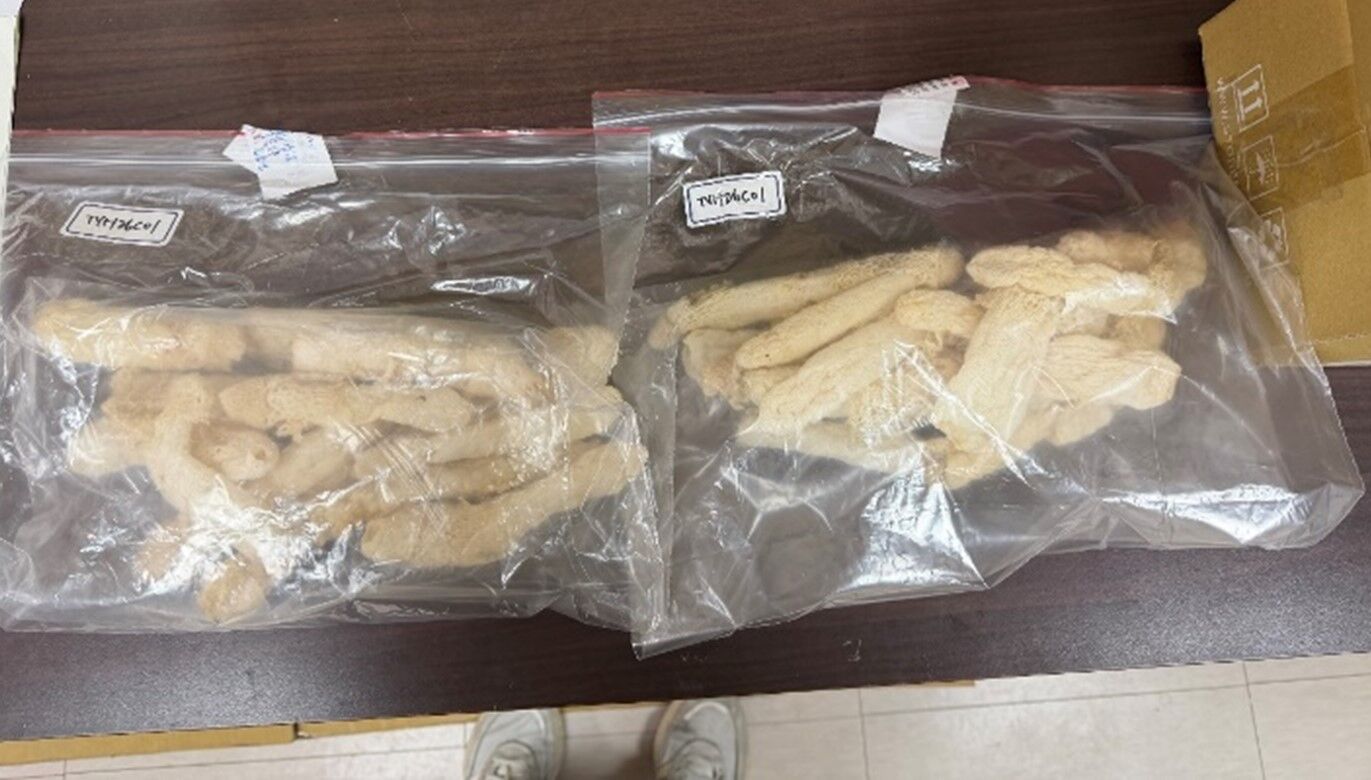 食藥署今(5/20)日公布「115年度市售食品中重金屬監測計畫1-3月執行結果」。（圖／食藥署提供）