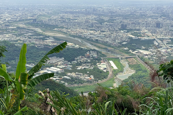 ▲▼咬人狗坑生態景觀步道。（圖／部落客飛天璇的口袋授權提供）