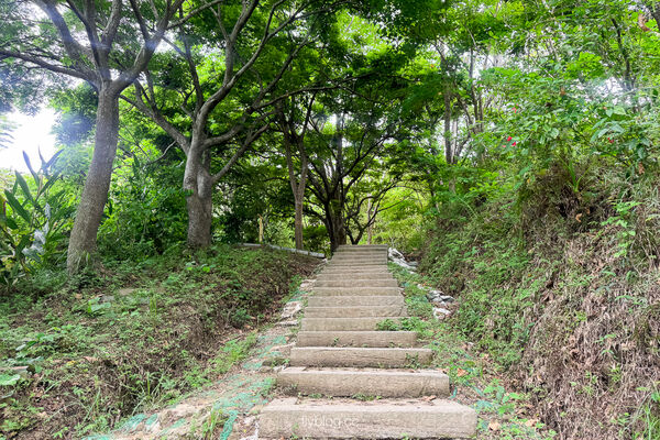 ▲▼咬人狗坑生態景觀步道。（圖／部落客飛天璇的口袋授權提供）