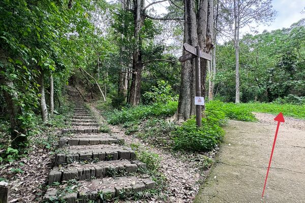 ▲▼咬人狗坑生態景觀步道。（圖／部落客飛天璇的口袋授權提供）