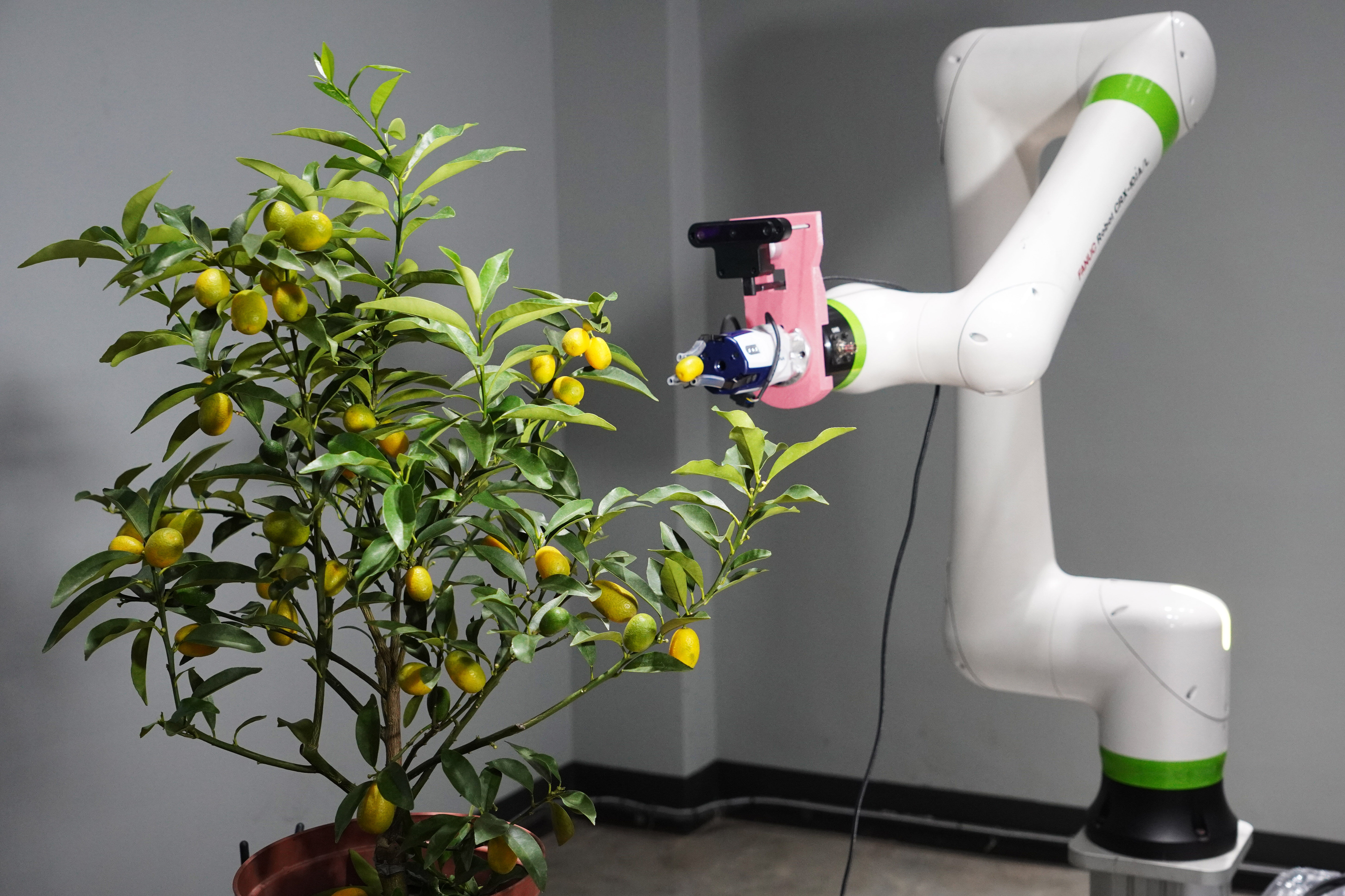 ▲▼大葉大學,招生,AI,半導體,畢業,課程。（圖／大葉大學提供）