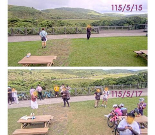 僅2天！擎天崗「草坪枯黃裸露」對比照曝光　陽管處批3不當行為