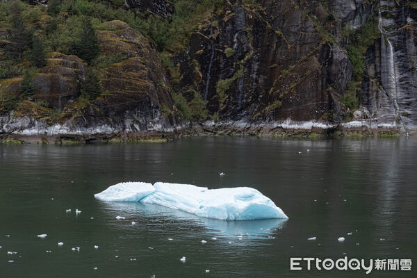 ▲星辰公主號進入恩迪科特峽灣（Endicott Arm），並朝道斯冰河（Dawes Glacier）方向進行景觀巡航,公主遊輪,冰河峽灣,星辰公主號。（圖／記者彭懷玉攝）