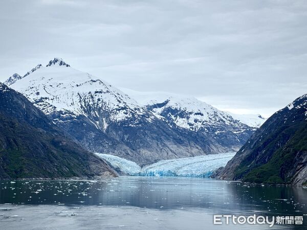 ▲星辰公主號進入恩迪科特峽灣（Endicott Arm），並朝道斯冰河（Dawes Glacier）方向進行景觀巡航,公主遊輪,冰河峽灣,星辰公主號。（圖／記者彭懷玉攝）
