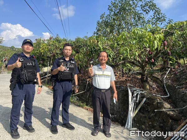 ▲台南玉井芒果進入採收旺季，玉井分局全面啟動護果專案，守護果農心血。（記者林東良翻攝，下同）