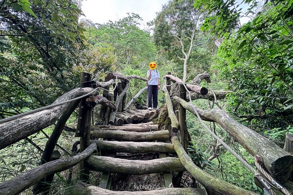 ▲▼大坑2號登山步道。（圖／部落客飛天璇的口袋授權提供）
