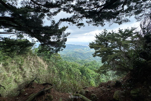 ▲▼大坑2號登山步道。（圖／部落客飛天璇的口袋授權提供）